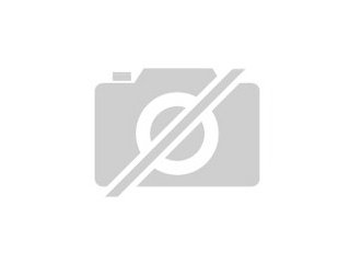 Suche weißbauchigelpaarchen im Raum Hamburg